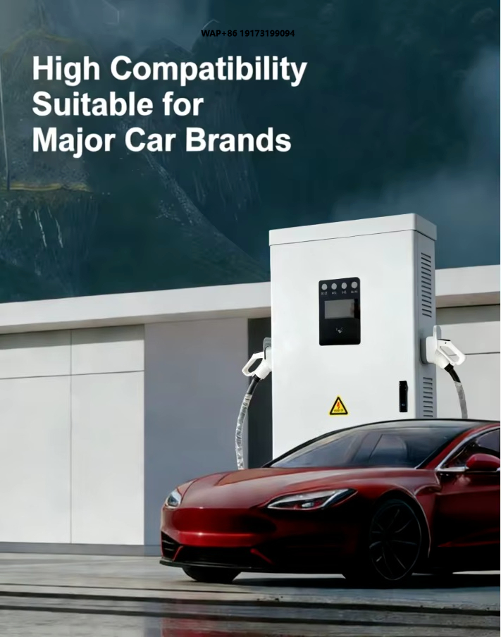Ev Charging Pile - محطة شحن المركبات الكهربائية (NEV)، محطة
